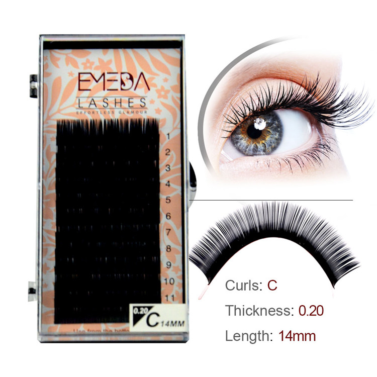 Wholesale Thick Volum PBT Eyelash Extensions PY1